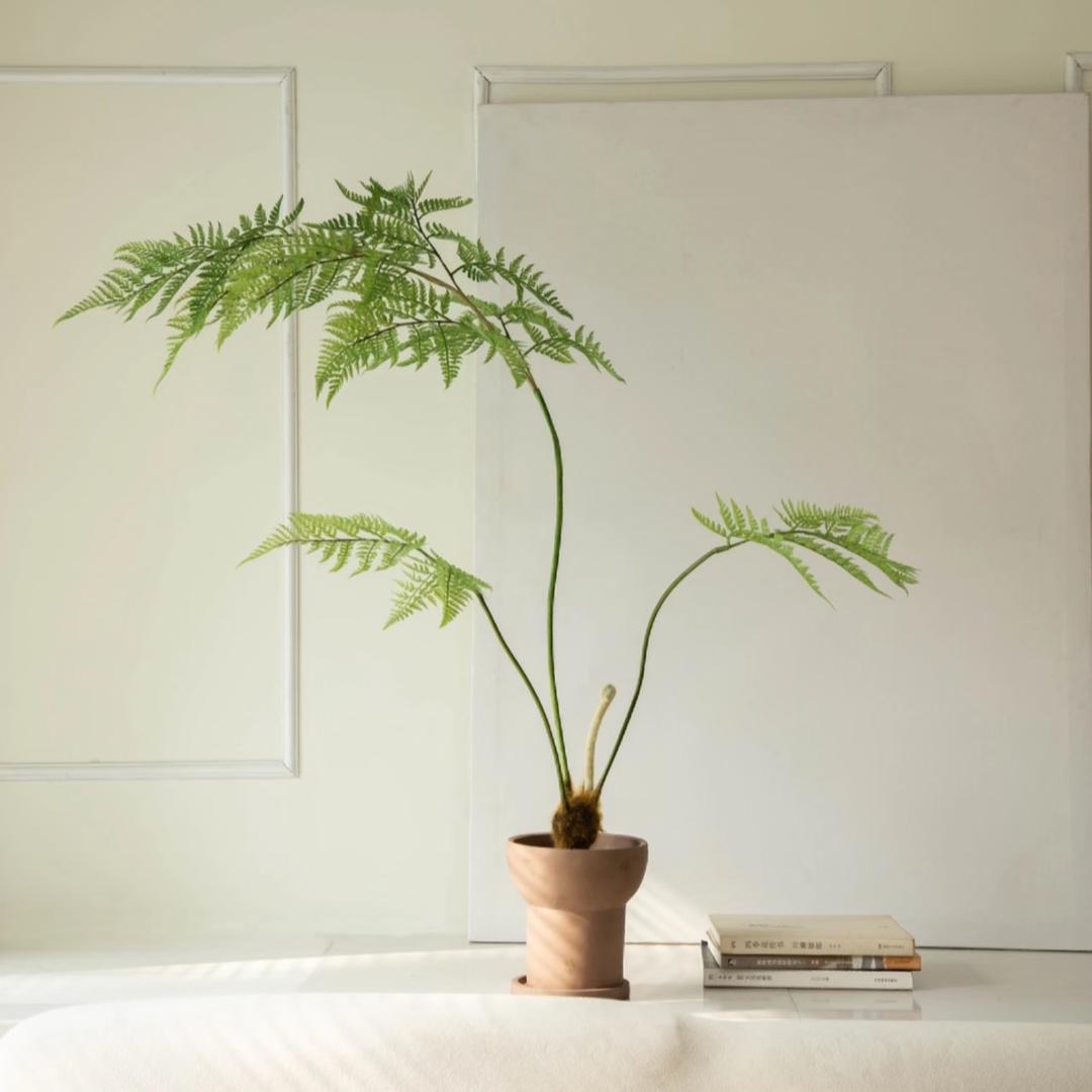 植木绿植