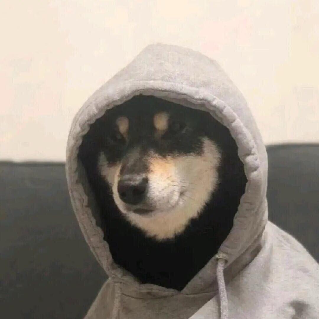 Sᴀғᴇᴛ