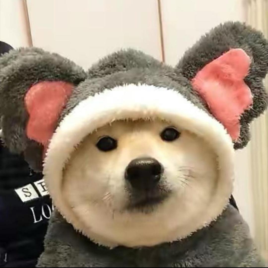困困