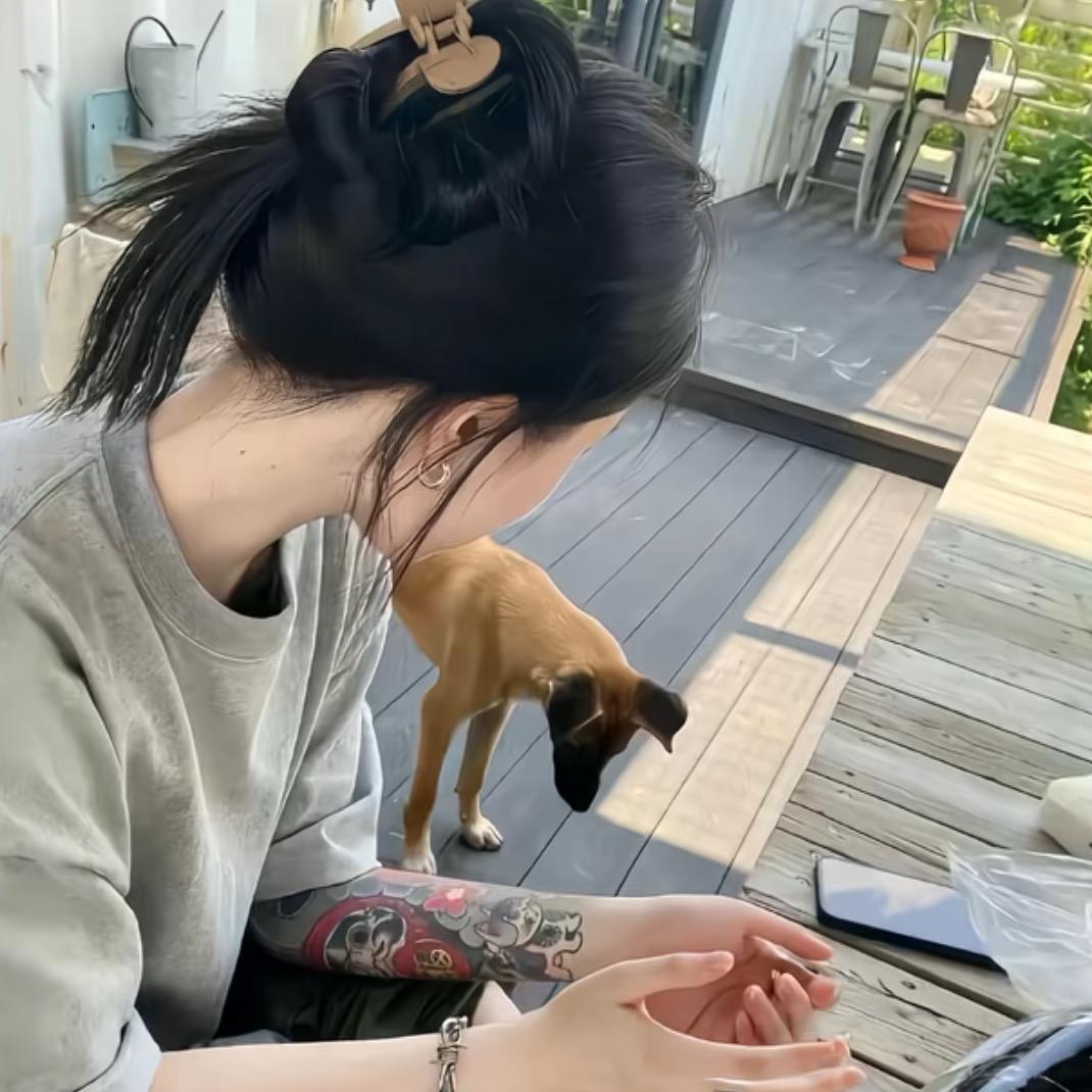 yy