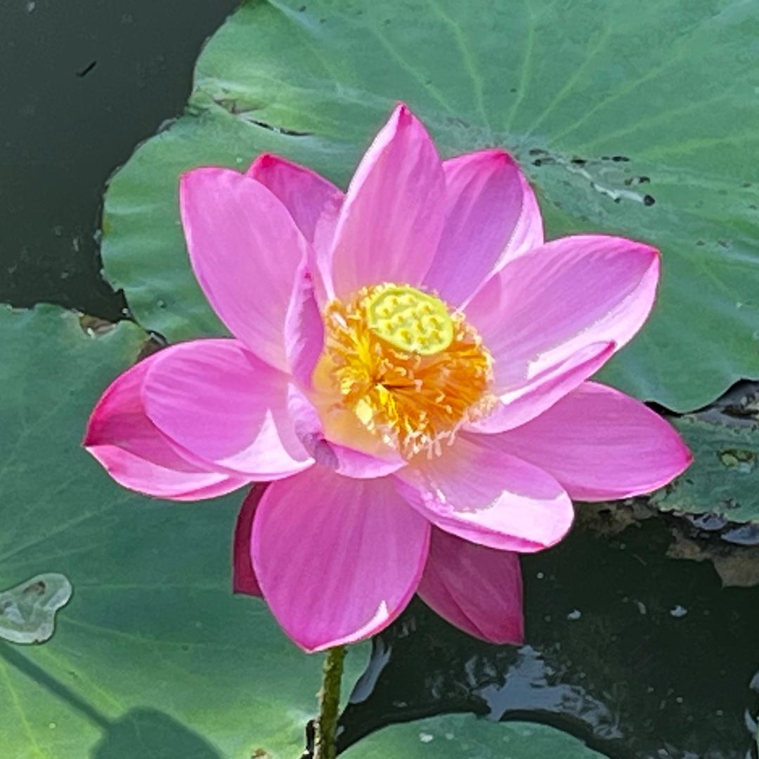 修身助人