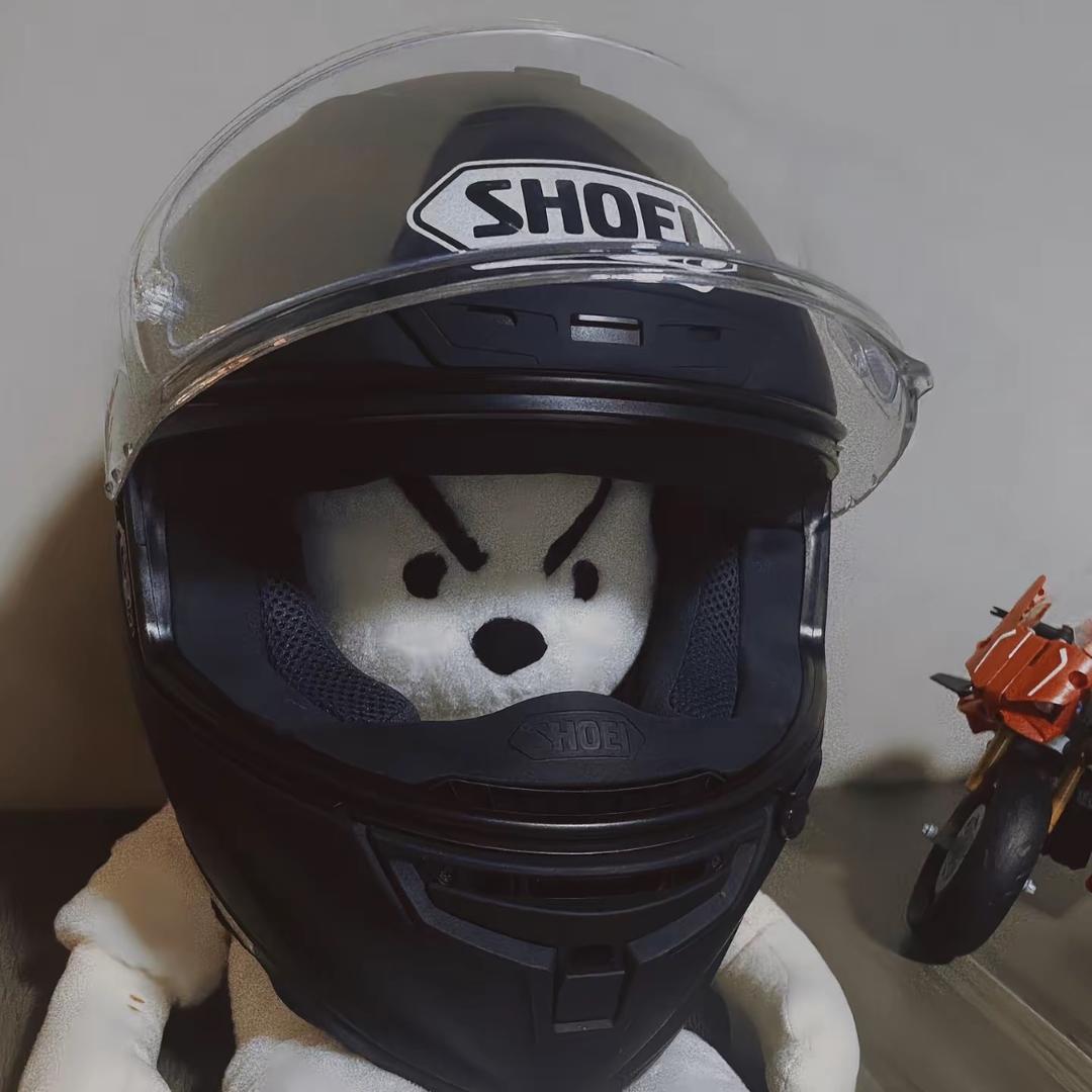 煎饼狗子.
