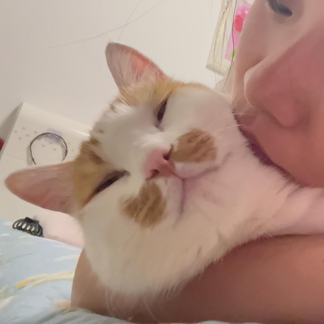 臭咪🐱