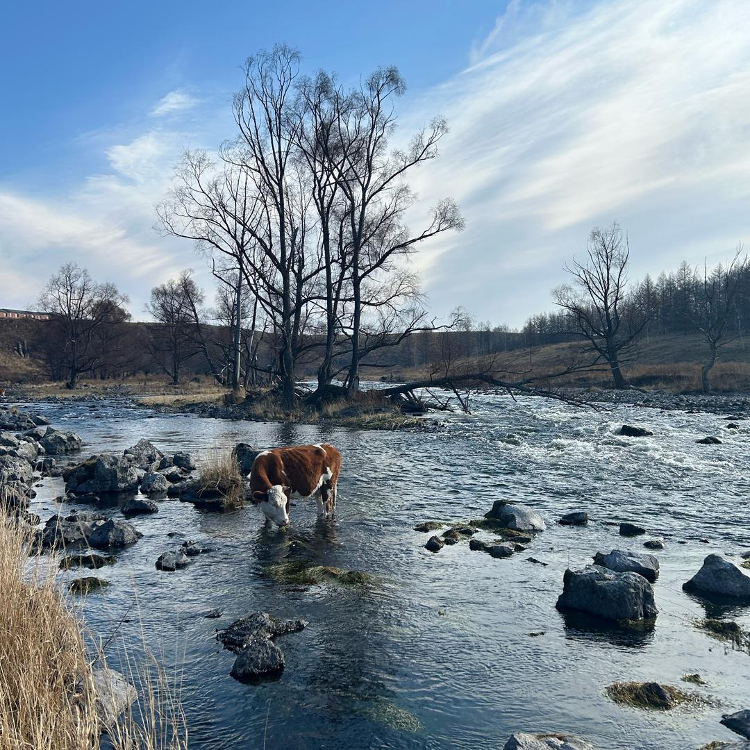 三口一只小橙子
