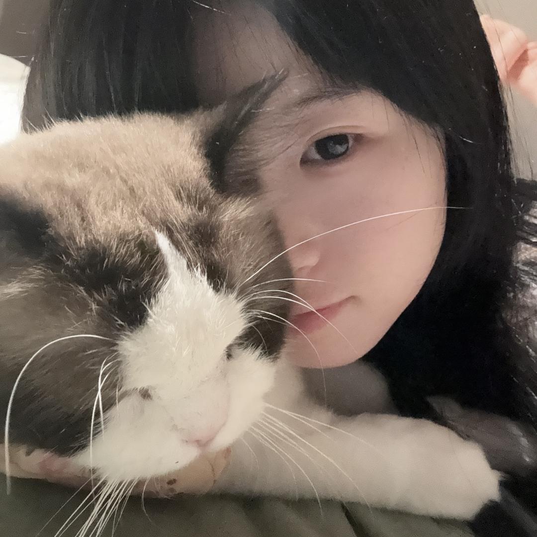 旺财小咪