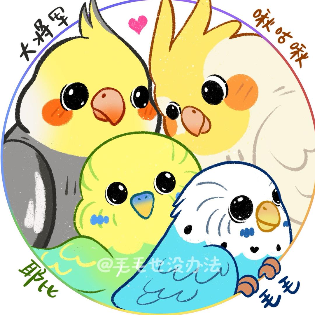 毛毛也没办法🐥