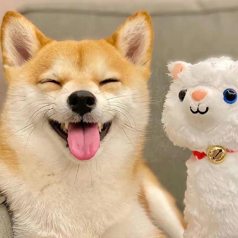 拒绝拖延症🙅🏻‍♂️