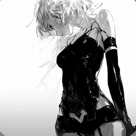 菲无008