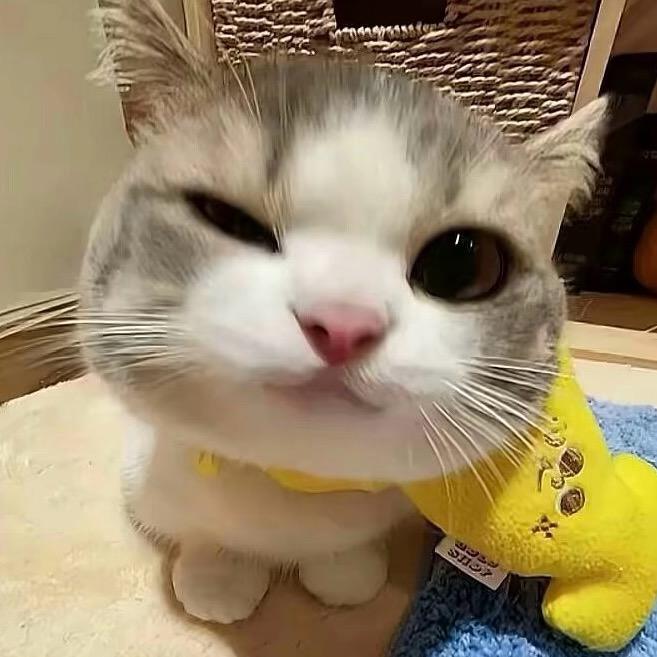 墨秀