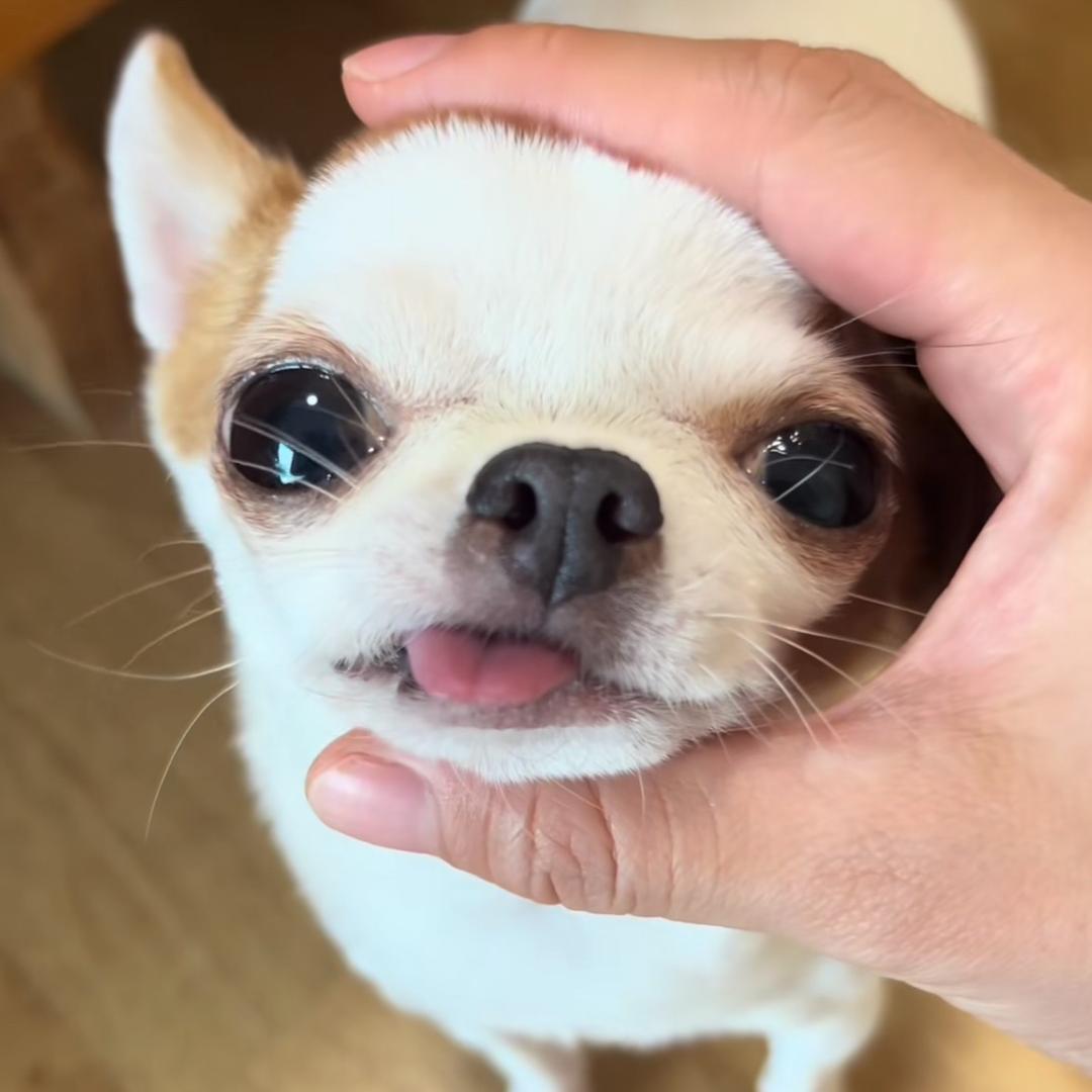 不乘打你小屁股