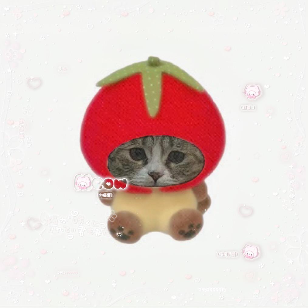 头头ovo