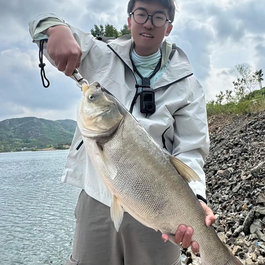 ☁️天天钓鱼