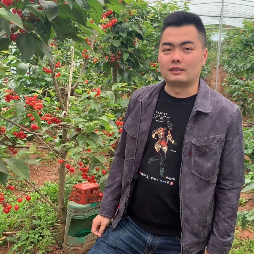 简阳市一颗苗家庭农场（个人独资）企业店