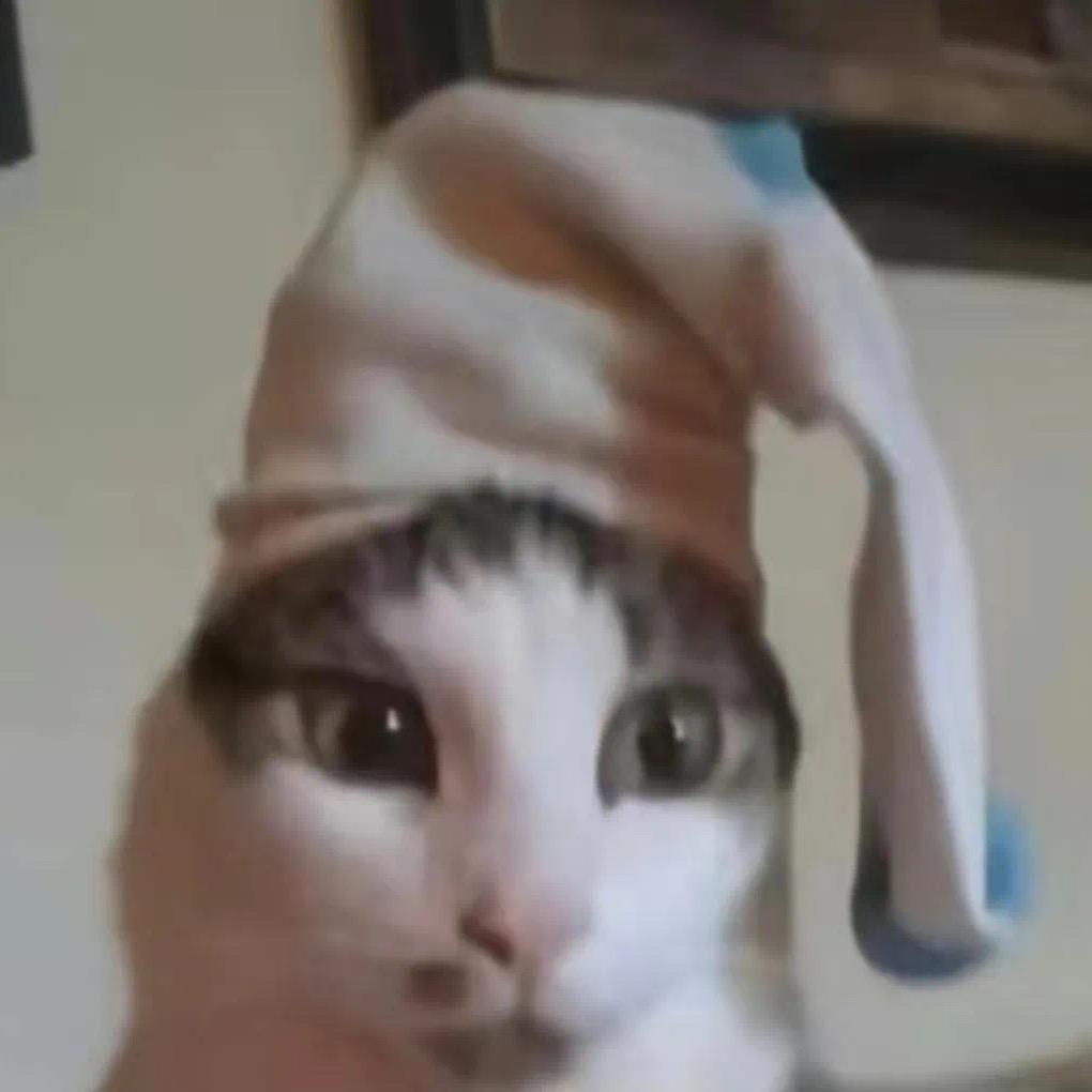 肥8