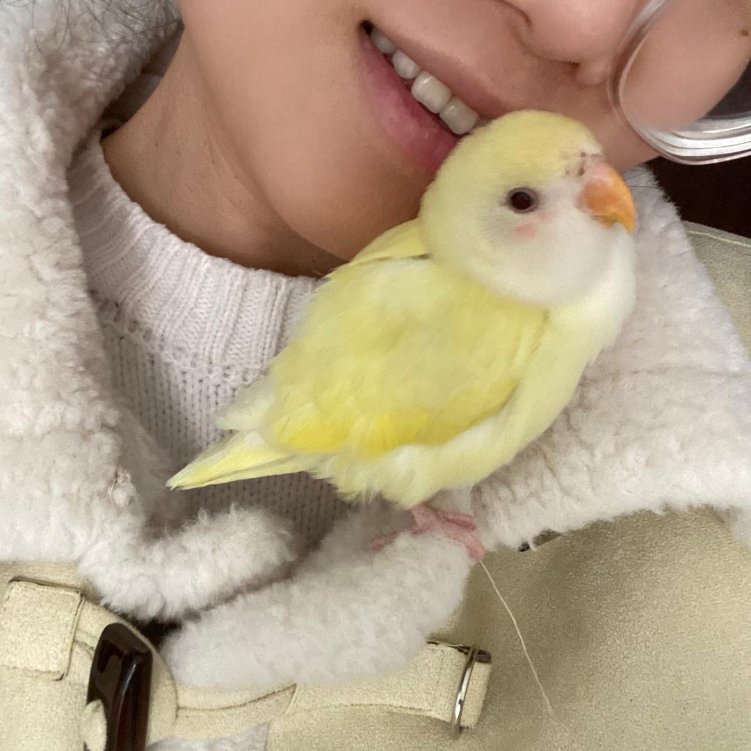 亲爱的路人🐦