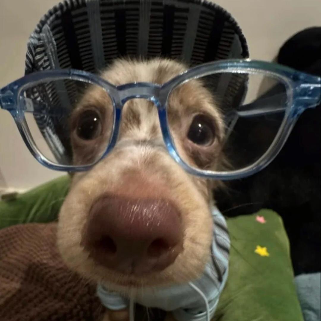 Cucumber🏸（攒钱版