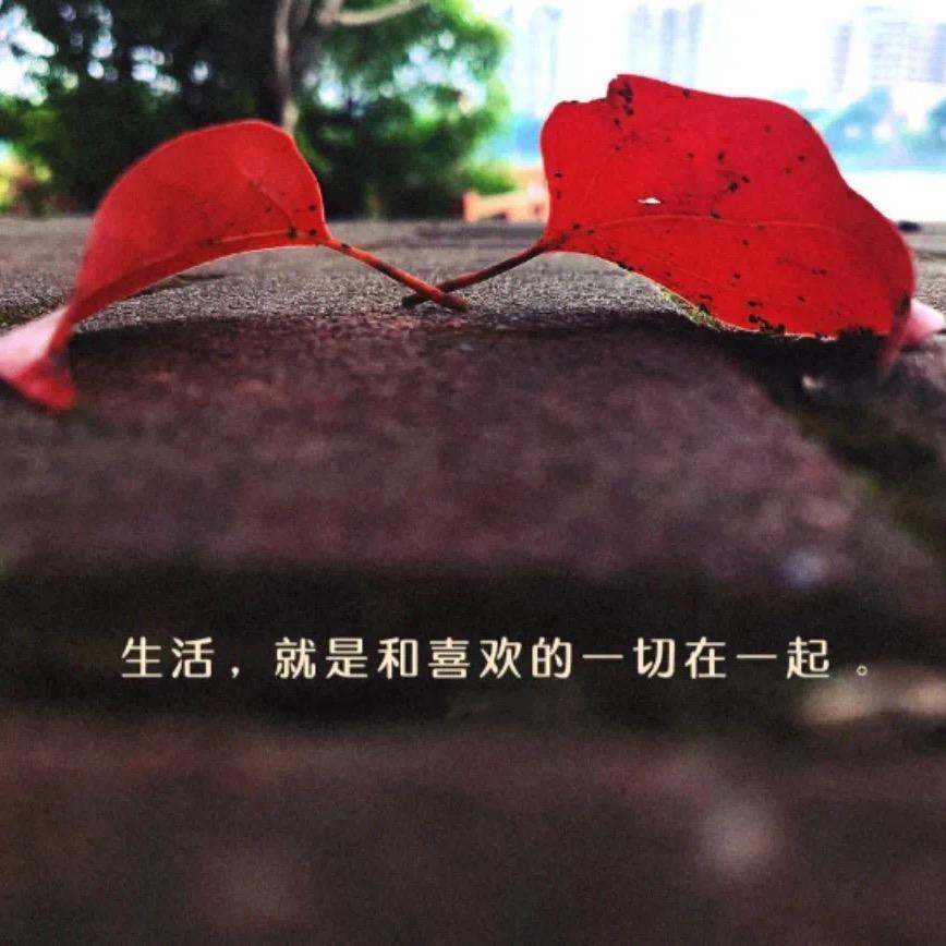 从心开始