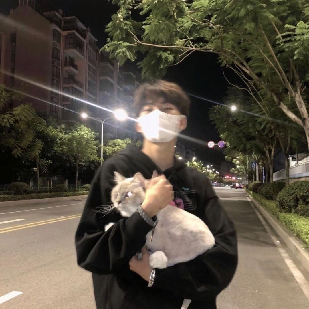 我的猫跑掉了