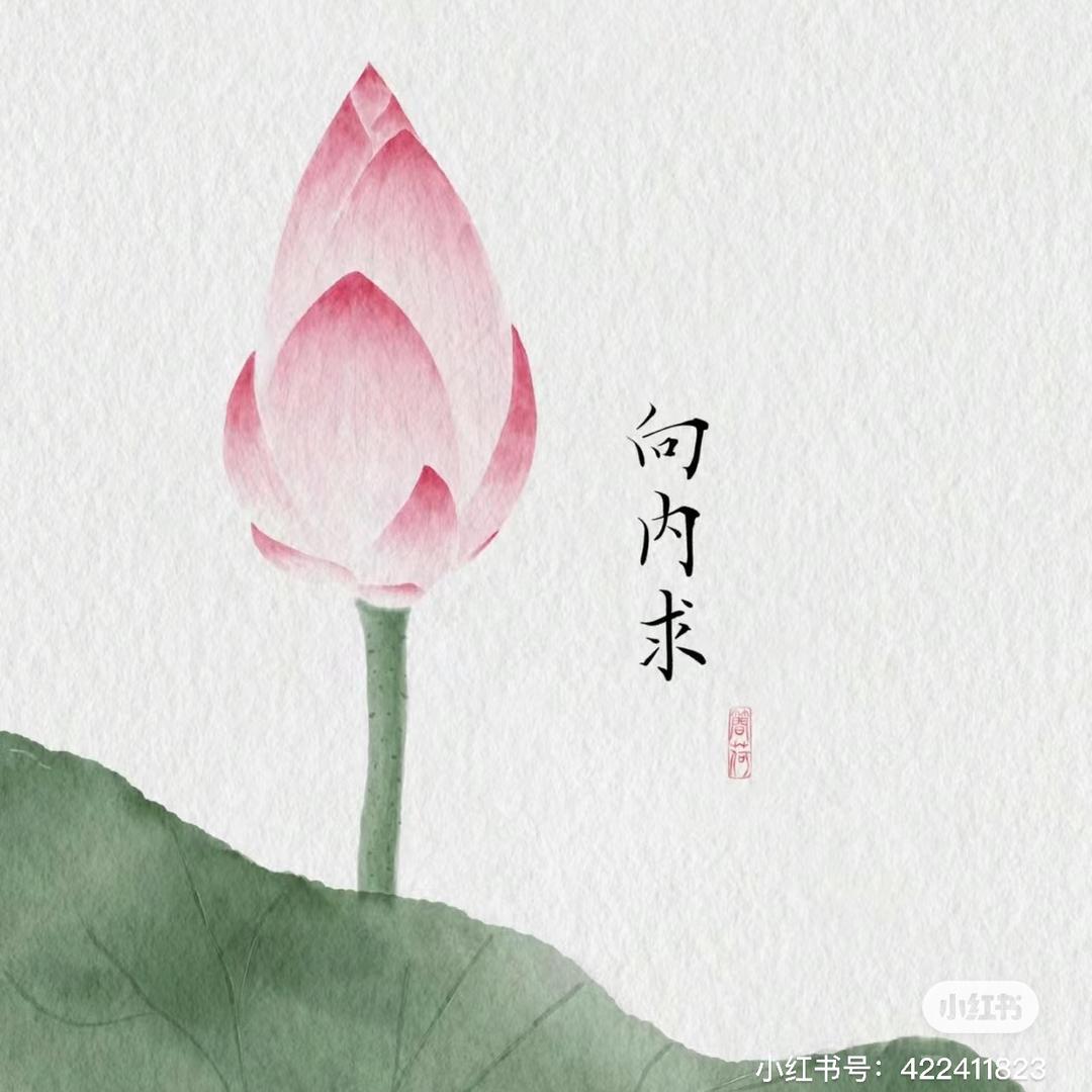 🪷净心@慧雨📿