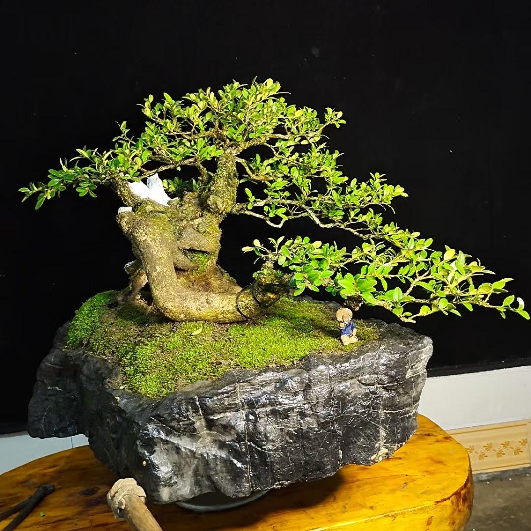 植韵园艺@
