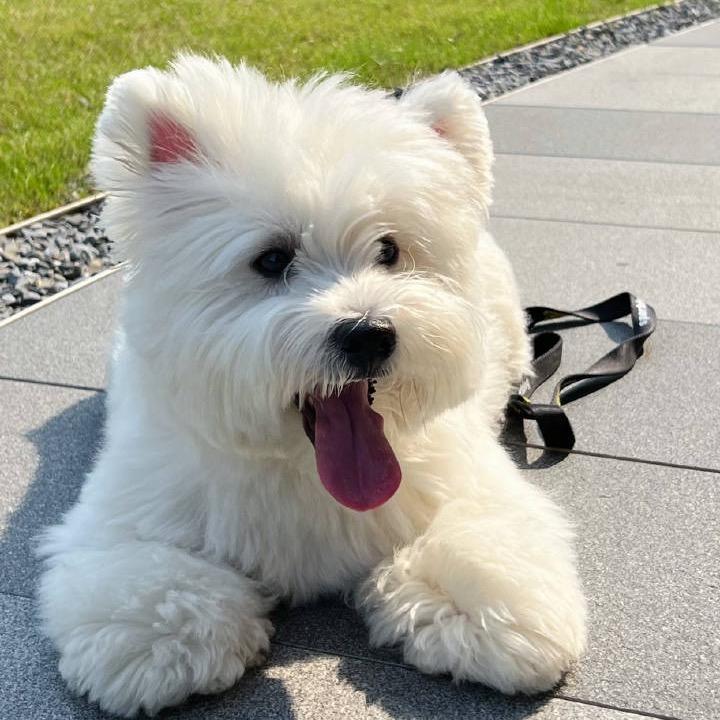 刘学义的小话筒🎙️