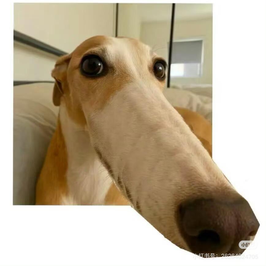 不不不烦