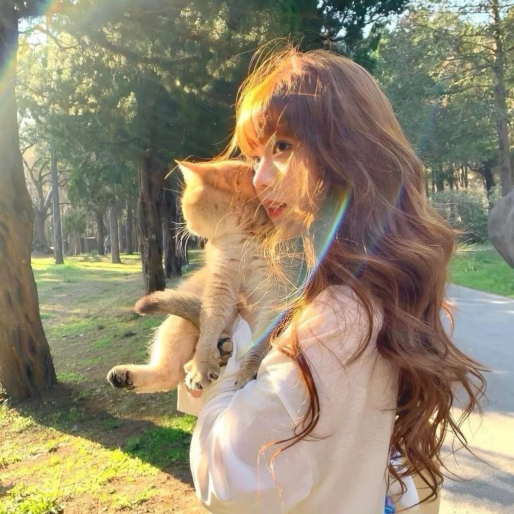 泡芙小猫