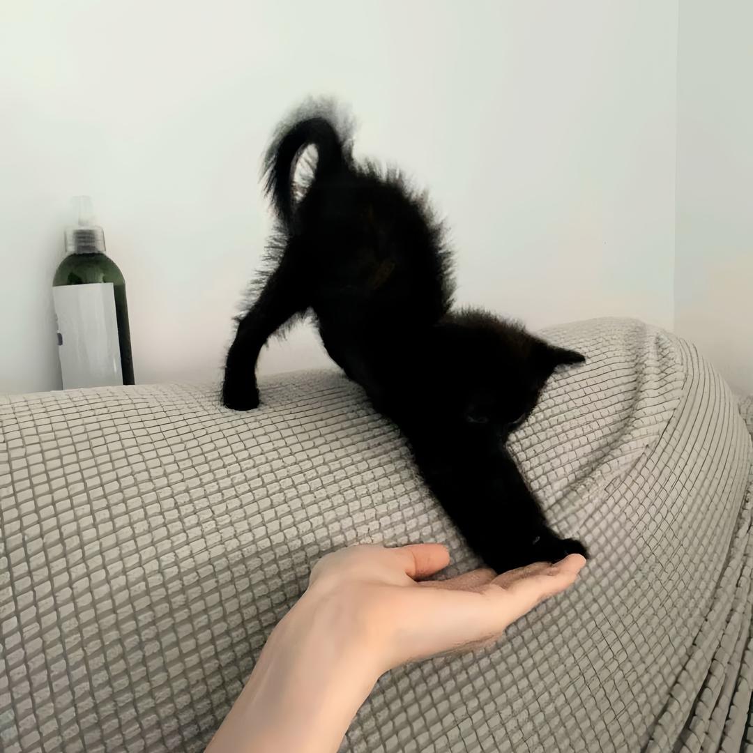晚安