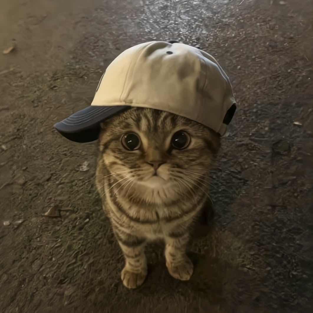 方47
