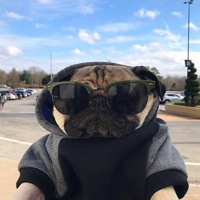 人生几何🌅.
