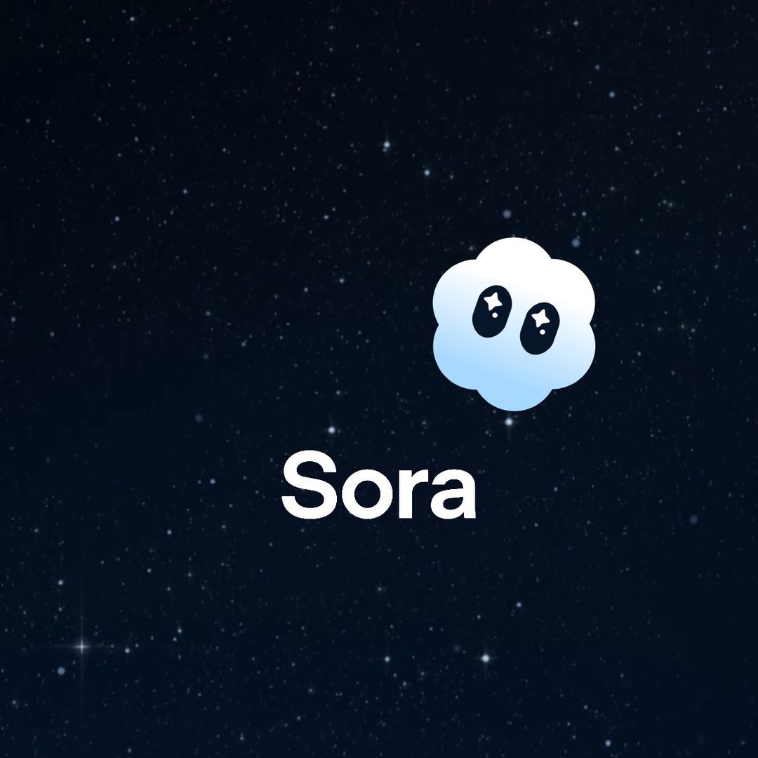 sora 邀请函码