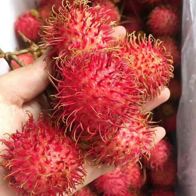 倍鲜农业