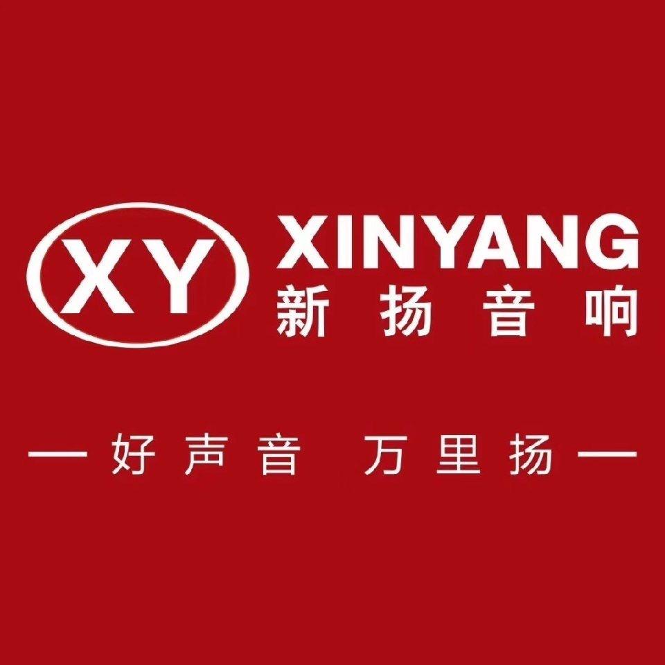 新扬音响工厂店