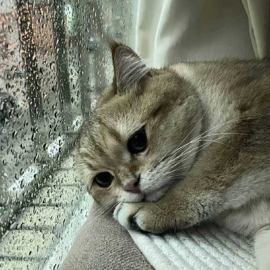 ？