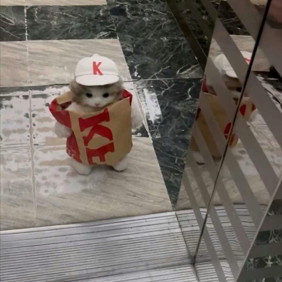 抑郁寡妇