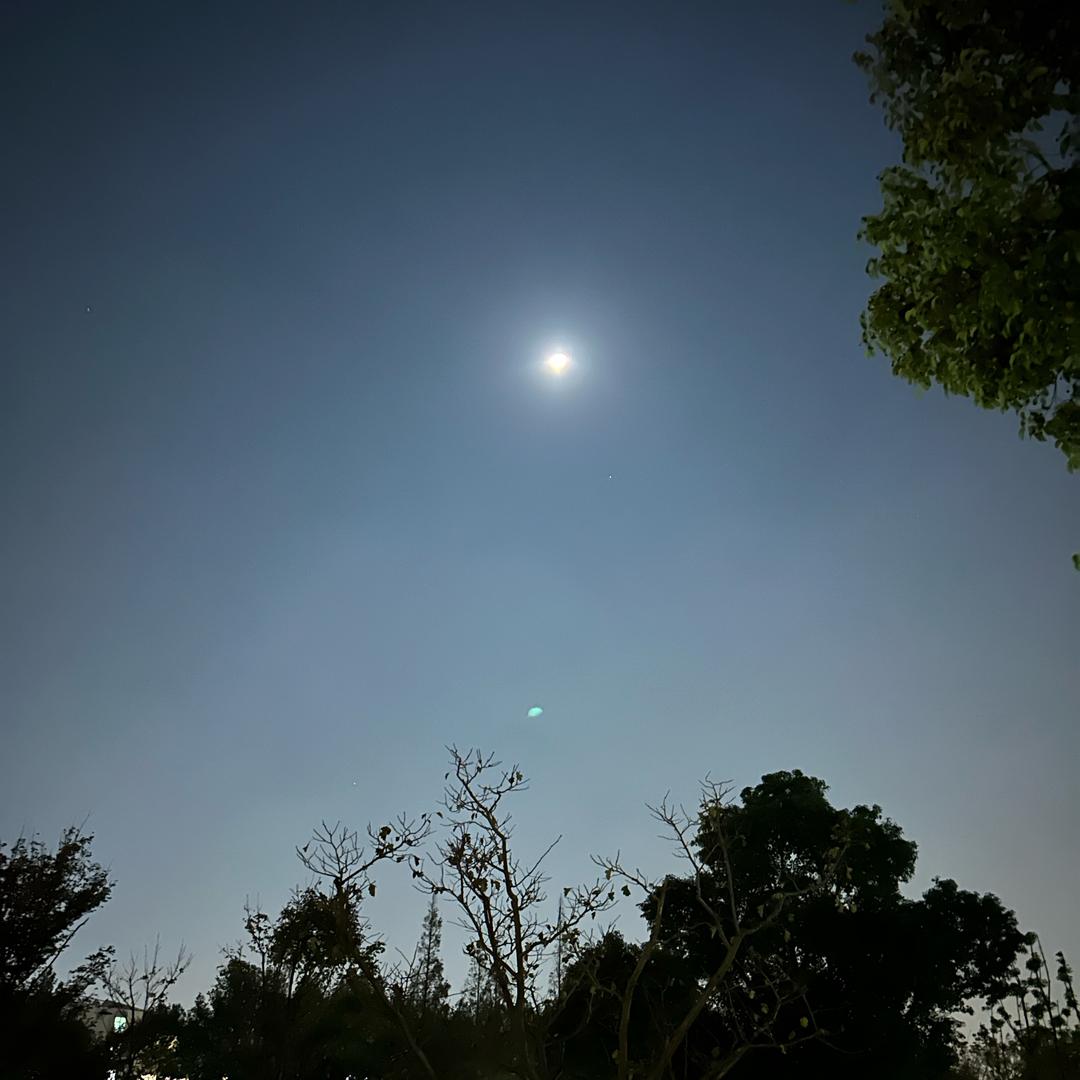 从头越，苍山如海，残阳如血。