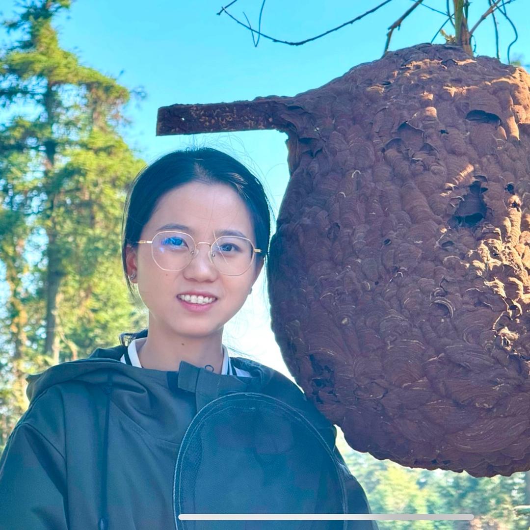 刘淘淘的马蜂日记