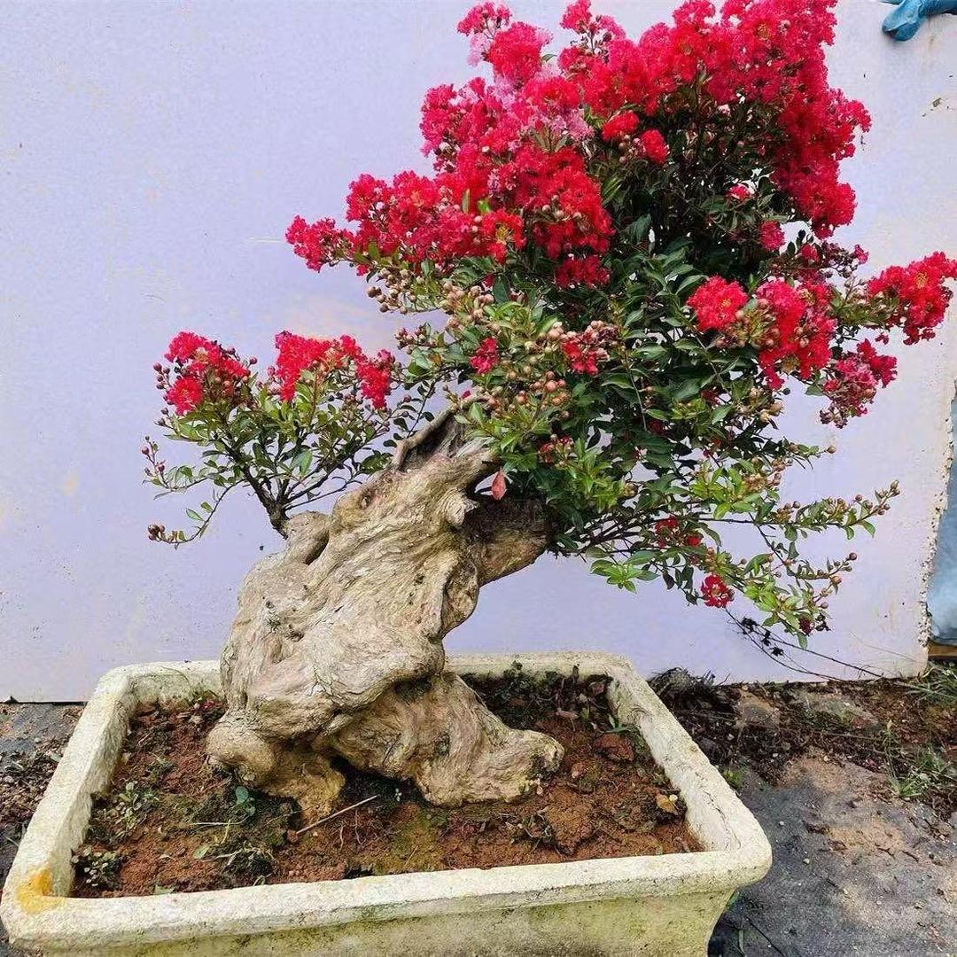 丰茂园林经营部