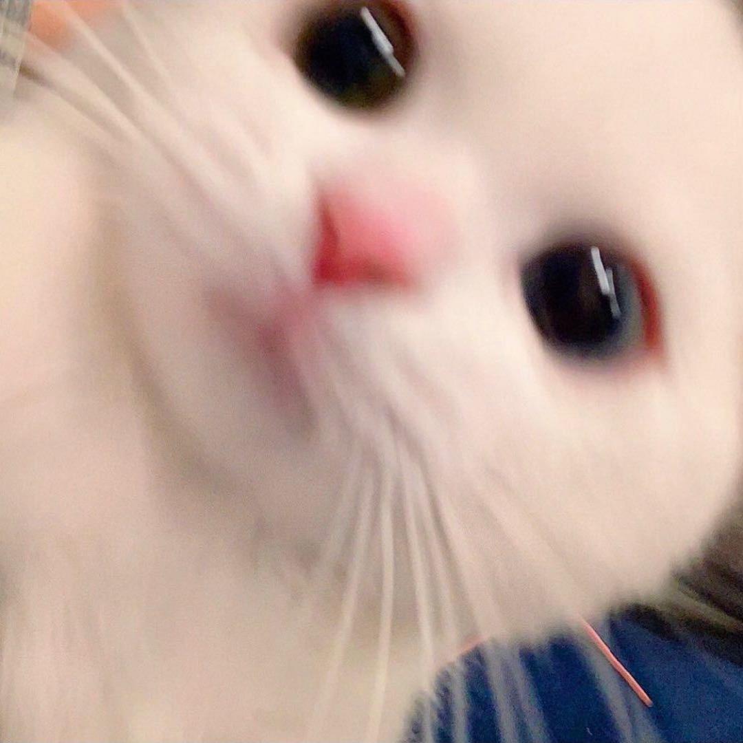 鱼与