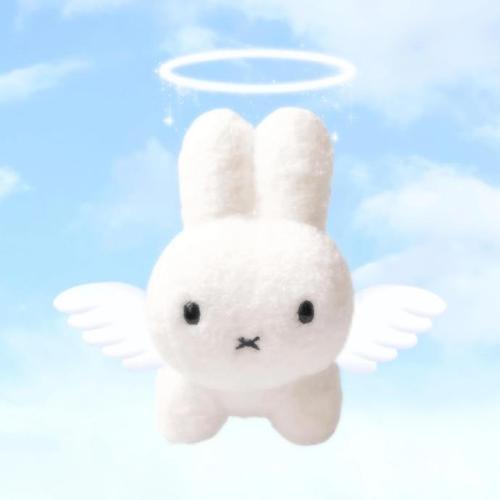 咚旼星星