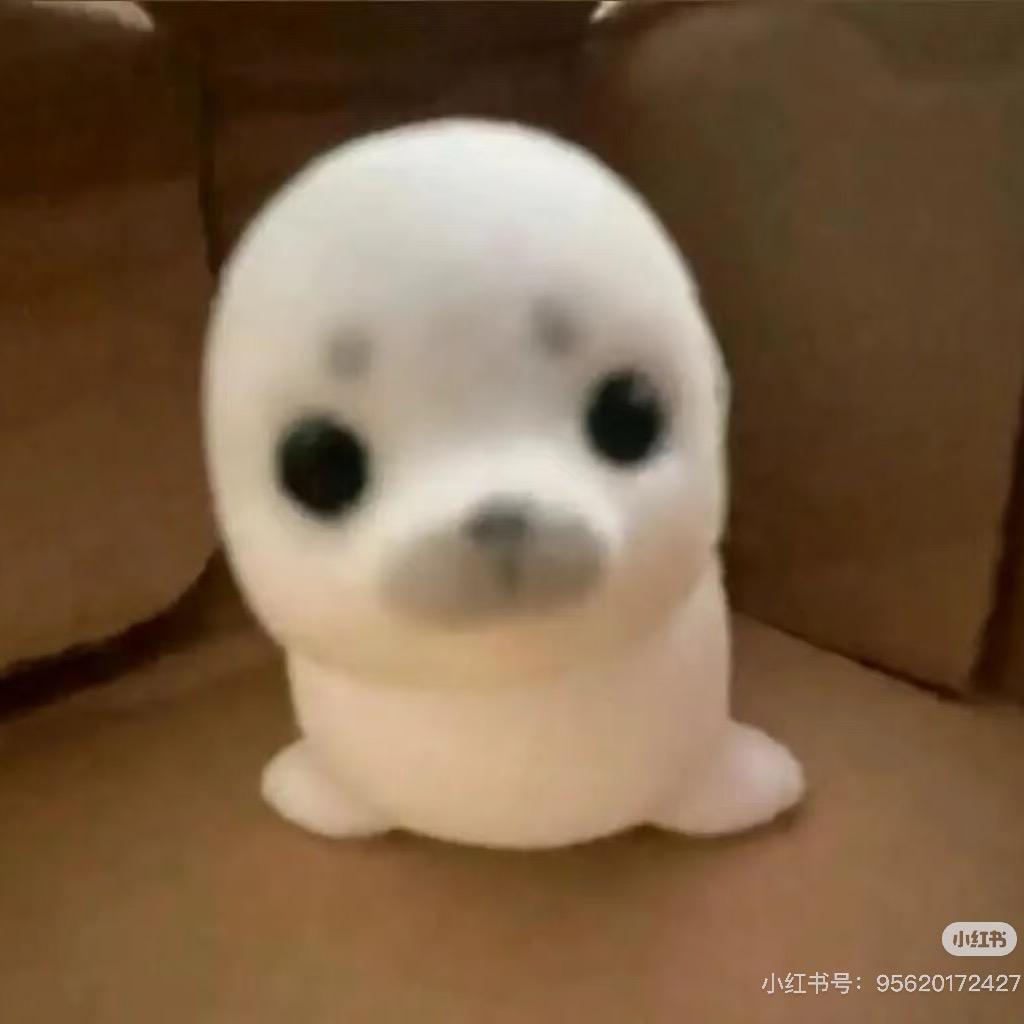 小吉米