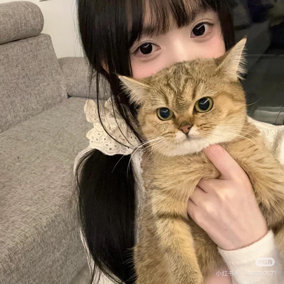 糯诺喏..