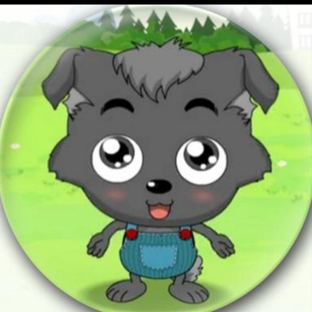 灰灰爱玩