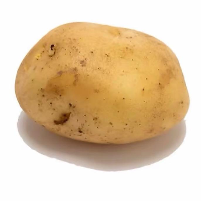 小毅