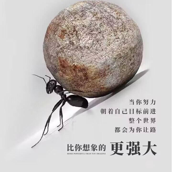 你老了，我不年轻