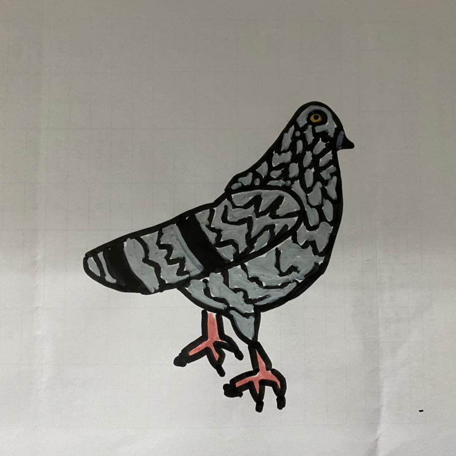 楼顶鸽手眼镜