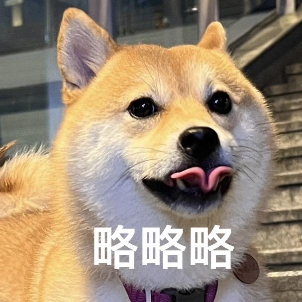 卡卡卡布达