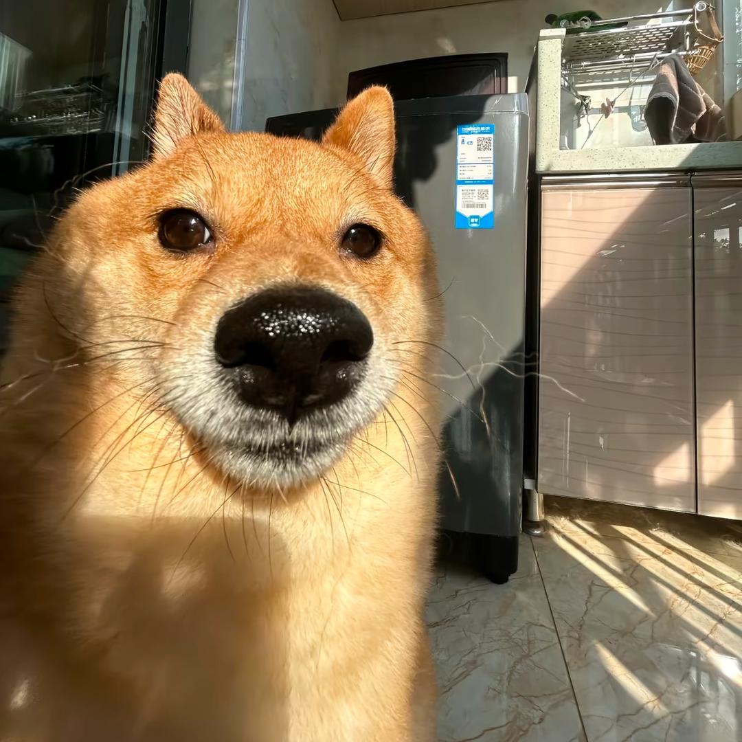 你的文年