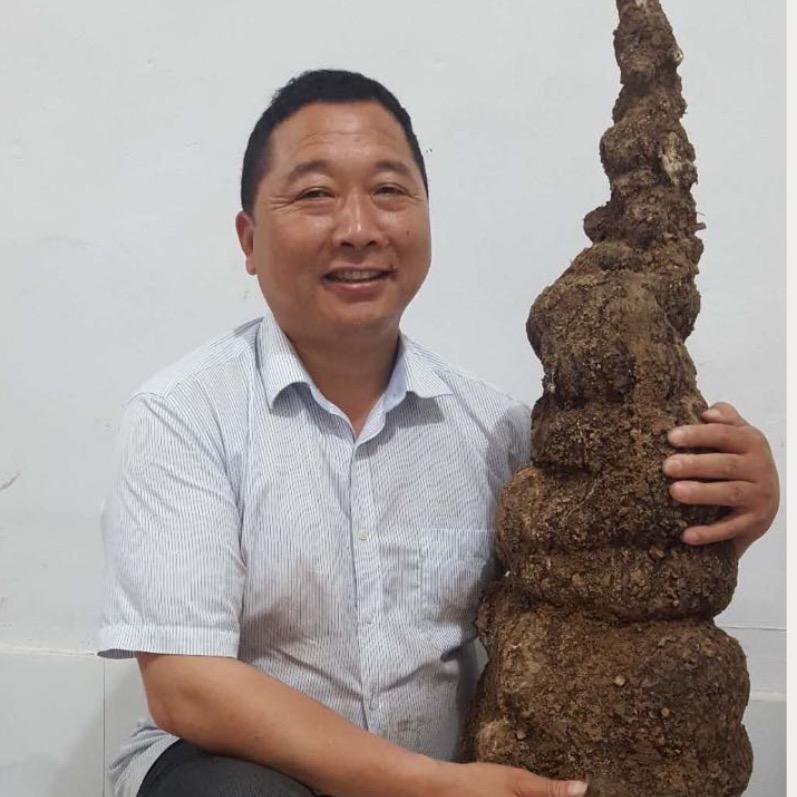 大别山老农民（老杜）