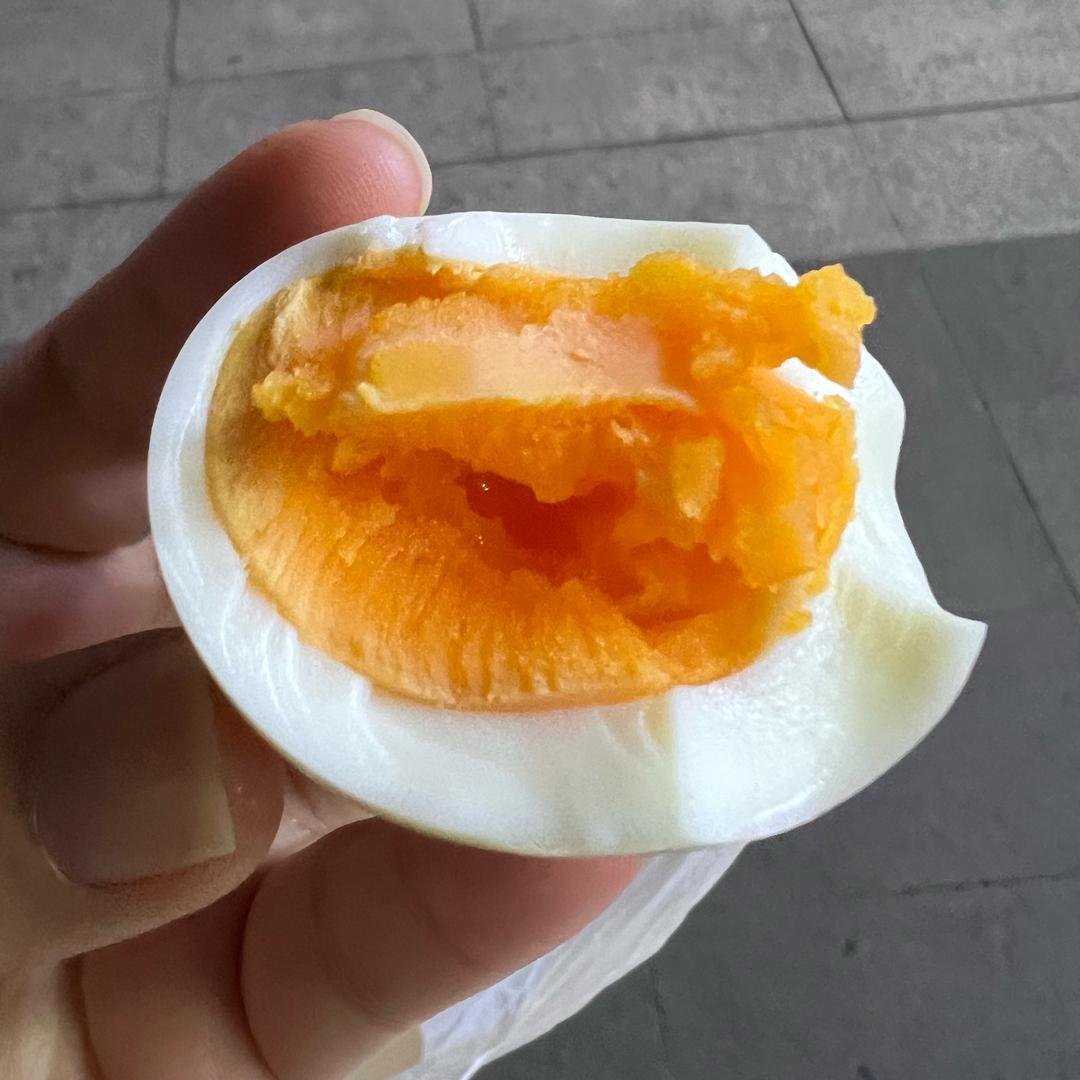 行走鱼